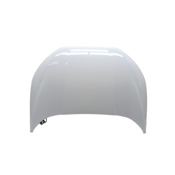 Recambio de capo para ford ecosport (cr6) st-line referencia OEM IAM GN15N16612CA  