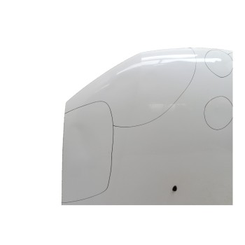 Recambio de capo para dacia sandero stepway referencia OEM IAM 651001918R  