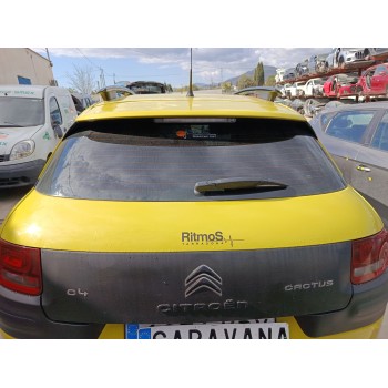 PORTON TRASERO 9800805380 