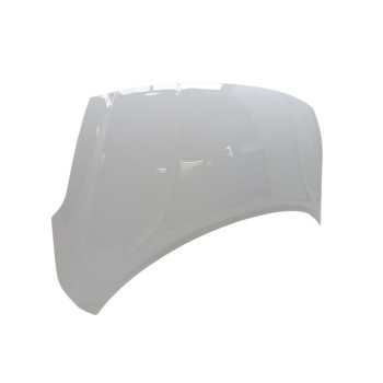 Recambio de capo para hyundai i10 (ac3) n line referencia OEM IAM 66400K7000  