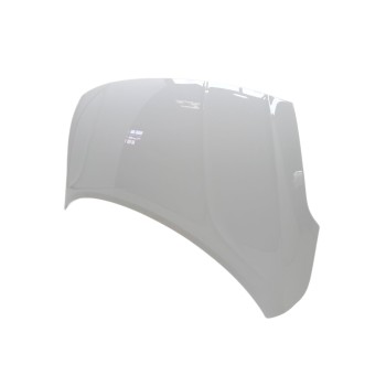 Recambio de capo para hyundai i10 (ac3) n line referencia OEM IAM 66400K7000  