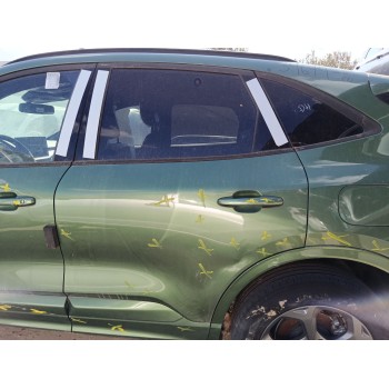 PUERTA TRASERA IZQUIERDA 2757992 / PLV4BS24631AM 