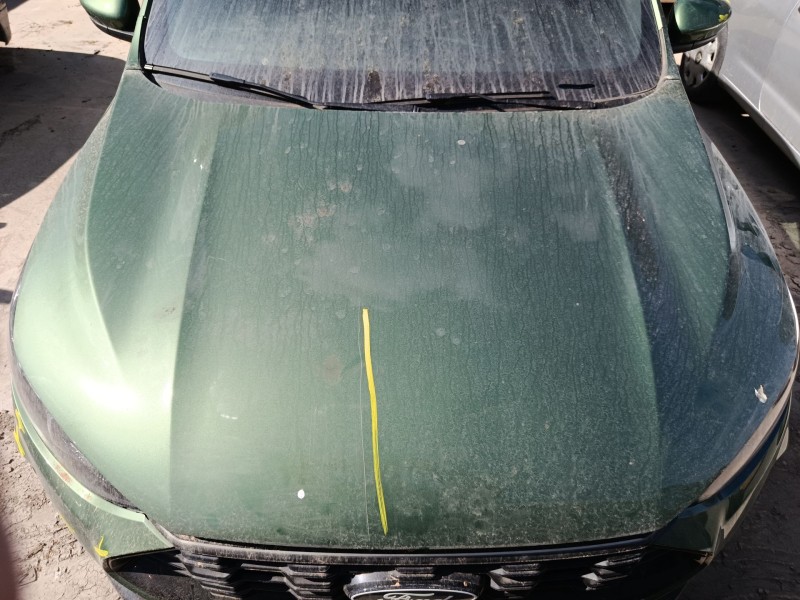 Recambio de capo para ford kuga iii (dfk) 2.0 tdci 4x4 referencia OEM IAM   