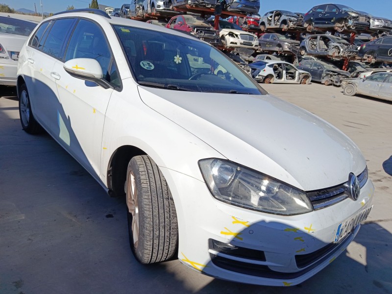 VOLKSWAGEN GOLF VII VARIANT (BA5, BV5)