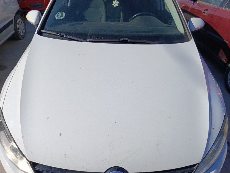 Recambio de capo para volkswagen golf vii variant (ba5, bv5) 1.6 tdi referencia OEM IAM   