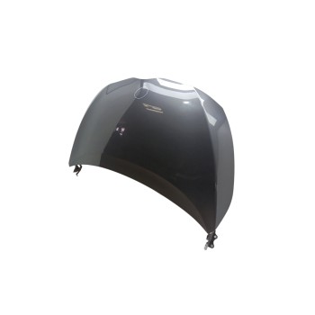 Recambio de capo para toyota verso (_r2_) 1.6 d4-d (war20_) referencia OEM IAM 533010F020  