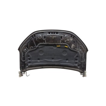 Recambio de capo para dacia sandero iii 1.0 tce 90 referencia OEM IAM 651005909R  