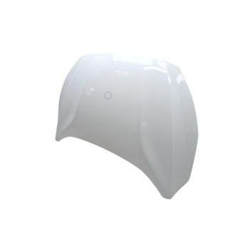 Recambio de capo para ford focus iv (hn) 1.0 ecoboost referencia OEM IAM PJX7BA16610CA  