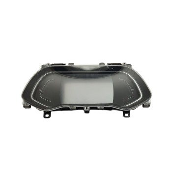 CUADRO INSTRUMENTOS 248097450R 