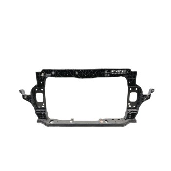 PANEL FRONTAL 64101Q0000 