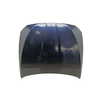 Recambio de capo para bmw serie 5 touring (f11) 520d referencia OEM IAM 41617207194  