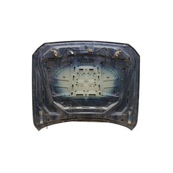 Recambio de capo para bmw serie 5 touring (f11) 520d referencia OEM IAM 41617207194  