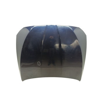 Recambio de capo para bmw serie 5 touring (f11) 520d referencia OEM IAM 41617207194  