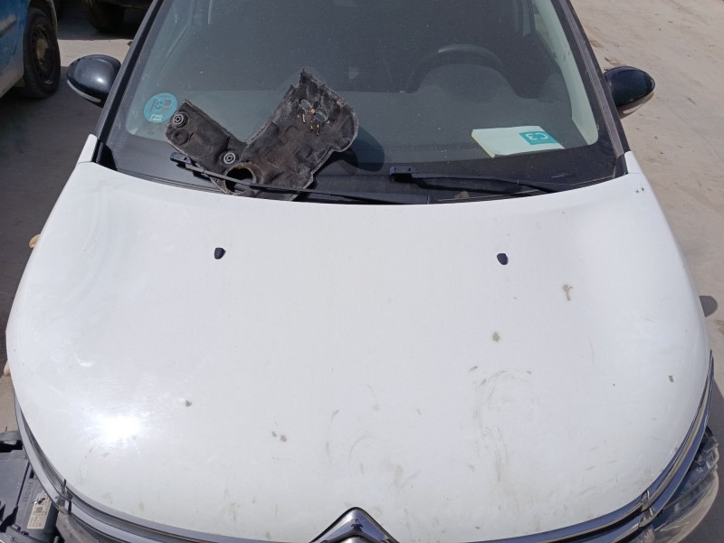 Recambio de capo para citroën c3 iii (sx) 1.6 bluehdi 75 referencia OEM IAM   