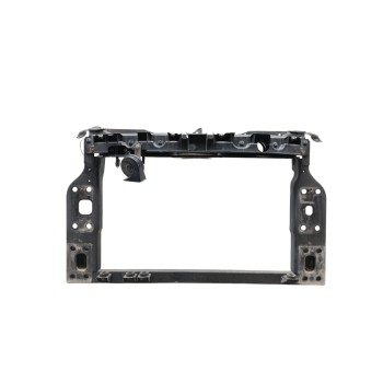 PANEL FRONTAL DS51B00124AA / 1823423 