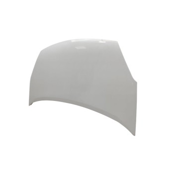 Recambio de capo para citroën berlingo station wagon sx multispace referencia OEM IAM 7901P7  