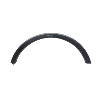 ALETIN TRASERO DERECHO 10734147 / 654572627 