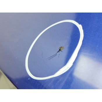 Recambio de porton trasero para ford focus lim. business referencia OEM IAM PF1EBA40410AC  