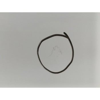 Recambio de puerta trasera izquierda para dacia duster ambiance 4x2 referencia OEM IAM 821014570R  