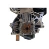 Recambio de motor completo para volkswagen polo (6r1) advance referencia OEM IAM CBZC 03F100091A 