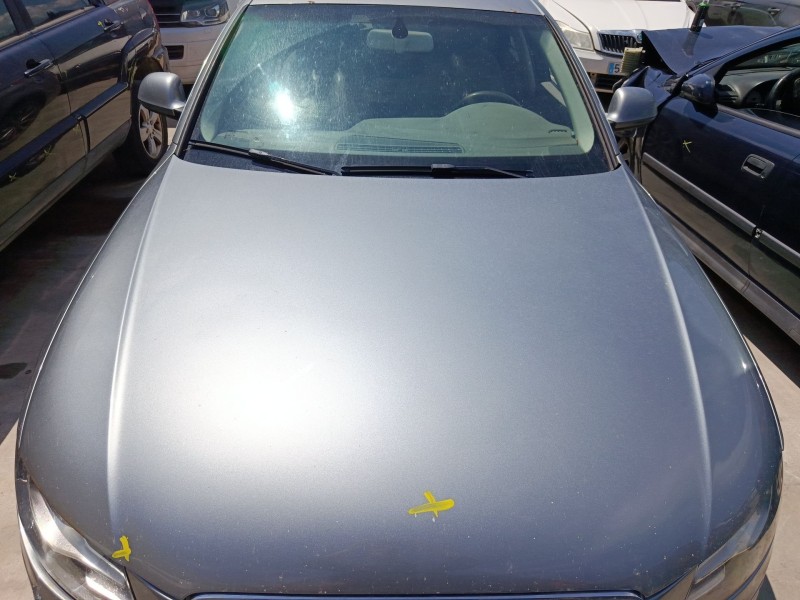 Recambio de capo para audi a4 b8 (8k2) 2.0 tdi referencia OEM IAM   