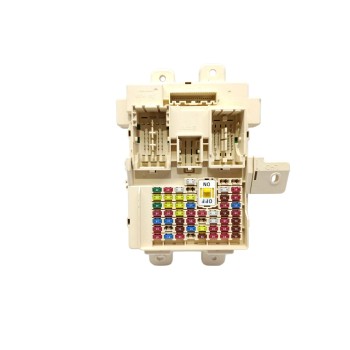 CAJA RELES / FUSIBLES 91950D9660 