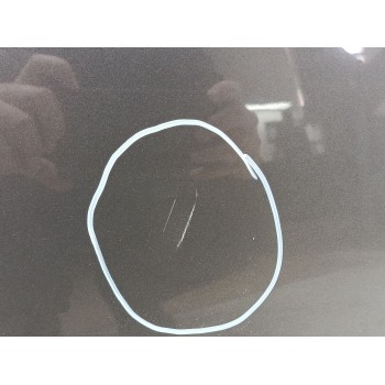 Recambio de capo para fiat 500 c (312_) 1.2 (312cxa1a, 312axa1a) referencia OEM IAM 52009424  