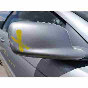 Recambio de espejo retrovisor derecho para bmw 3 descapotable (e46) 320 ci referencia OEM IAM   