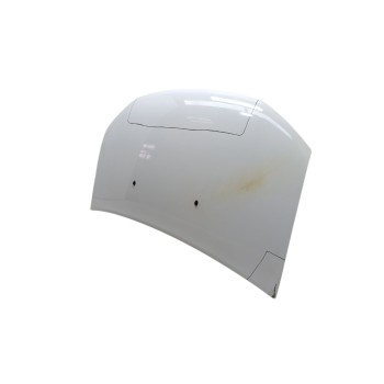 Recambio de capo para dacia sandero ii (b8_) 1.5 dci referencia OEM IAM 651001918R