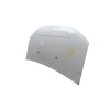 Recambio de capo para dacia sandero ii (b8_) 1.5 dci referencia OEM IAM 651001918R