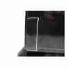 Recambio de puerta trasera izquierda para audi q3 sportback (f3n) 2.5 rs quattro referencia OEM IAM 83F833051A  