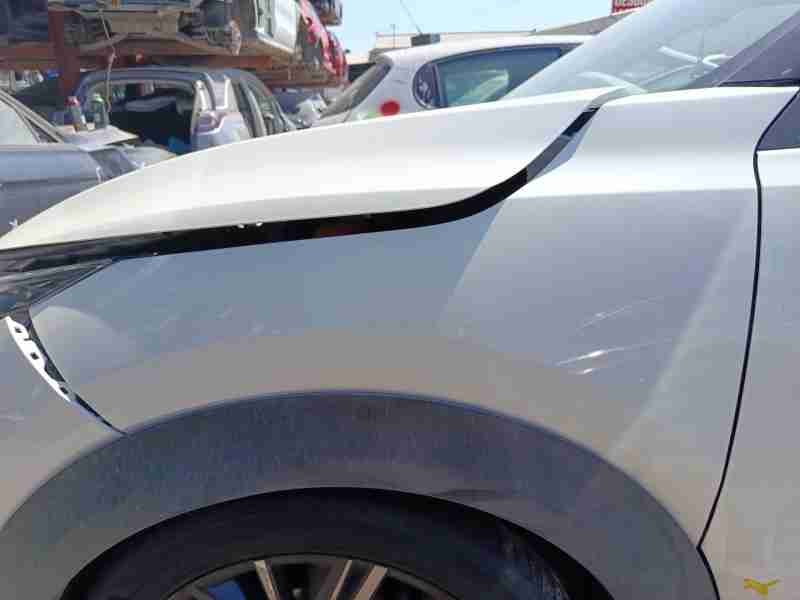 Recambio de aleta delantera izquierda para nissan juke (f16_) dig-t 117 referencia OEM IAM F31016PAMB  