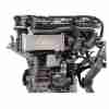 Recambio de motor completo para volkswagen t-cross (c11, d31) 1.0 tsi referencia OEM IAM DLAA 05C100098 / VERE7905 