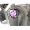Recambio de faro derecho para ford ka (ru8) 1.3 tdci referencia OEM IAM 9S5113005BA / 1566724  