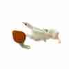 Recambio de deposito limpia para renault kadjar (ha_, hl_) 1.3 tce 140 referencia OEM IAM 289100390R / 289108267R 289103183R 