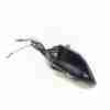 Recambio de antena para renault arkana i (lcm_, ldn_) 1.3 tce 140 (ldn0) referencia OEM IAM 282167369R  
