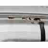 Recambio de capo para peugeot partner furgoneta/monovolumen 1.6 hdi 16v 4x4 referencia OEM IAM 7901P7  