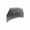 Recambio de capo para citroën berlingo multispace (b9) 1.6 bluehdi 100 referencia OEM IAM 7901P7  