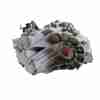Recambio de caja cambios para ssangyong tivoli grand limited 4x2 referencia OEM IAM 3102035320  