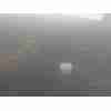 Recambio de capo para volkswagen tiguan (5n2) t1 bluemotion referencia OEM IAM 5N0823031D  