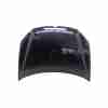Recambio de capo para volkswagen golf vi (5k1) 1.6 tdi referencia OEM IAM 5K0823031G  