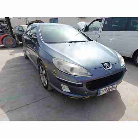 PEUGEOT 407 (6D_)