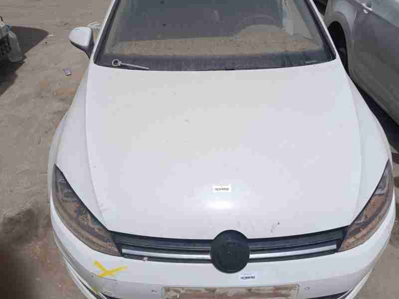 Recambio de capo para volkswagen golf vii (5g1, bq1, be1, be2) 1.6 tdi referencia OEM IAM   