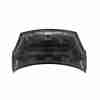 Recambio de capo para citroën berlingo multispace (b9) 1.6 hdi 110 referencia OEM IAM 7901P7  