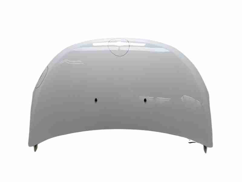 Recambio de capo para dacia dokker monospace (ke_) 1.6 lpg referencia OEM IAM 651007793R  