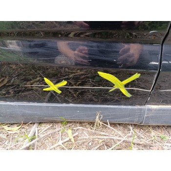 Recambio de puerta trasera derecha para ford c-max edition referencia OEM IAM 1781645  