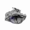 Recambio de caja cambios para renault scenic iv grand black edition referencia OEM IAM TL4384  