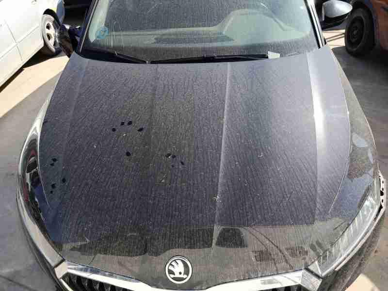 Recambio de capo para skoda octavia iv (nx3, nn3, pv3) 2.0 tdi referencia OEM IAM   