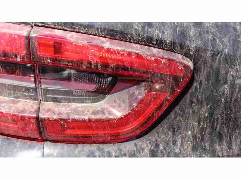 Recambio de piloto trasero izquierdo interior para renault kadjar (ha_, hl_) 1.6 dci 130 referencia OEM IAM 265550151R  