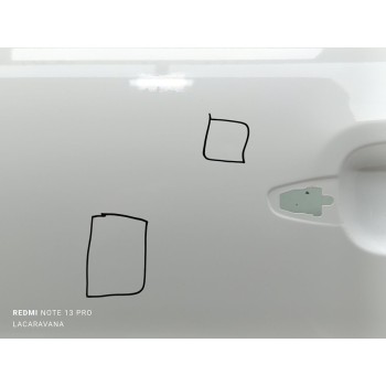 Recambio de puerta trasera izquierda para citroën c3 comercial referencia OEM IAM 9812254980  